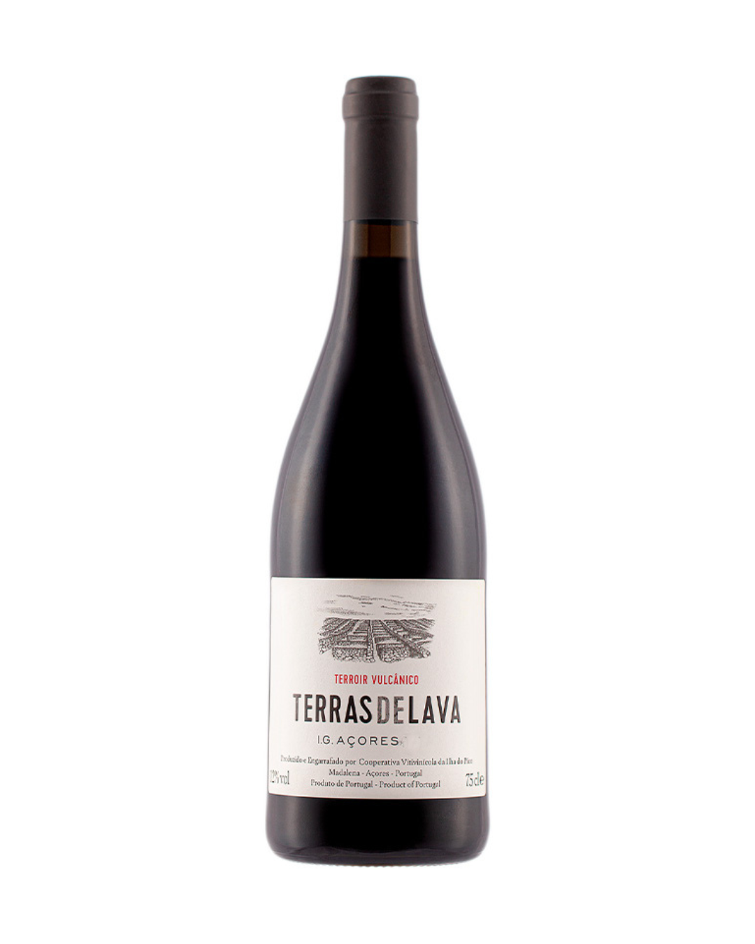 Terras de Lava Tinto Terroir Vulcânico 2023
